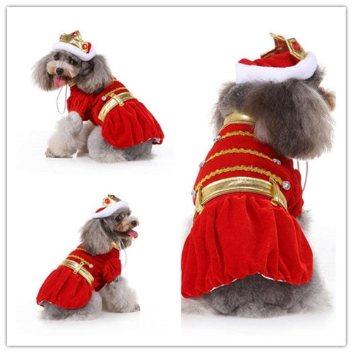 Funny Halloween Pet Costume: Personalized Dress Up For Dogs In Acrylic