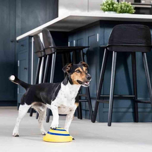 Wooftunes Interactive Sound Dog Toy: Engaging Entertainment For Your