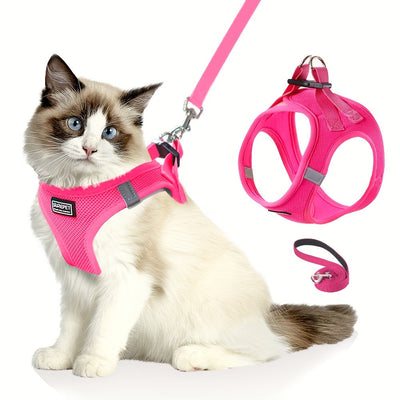 Cat Accessories