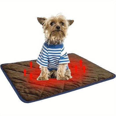 Dog Beds
