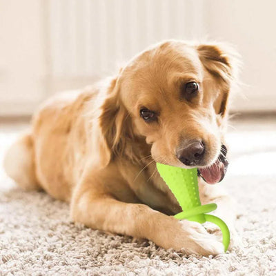Toys For Dogs
