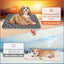 Winter Self Pet Warming Pad for Small/Large Dog Cat, Warming Cat Bed Cat Mat Thermal Pet Bed Mat, for Large Dog Non-Electric Self-Warming Dog Crate Pad for Outdoor Indoor 114.3cm x 71.12cm.