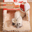 Rectangular Fully Enclosed Cat Bed with Snack Box Design