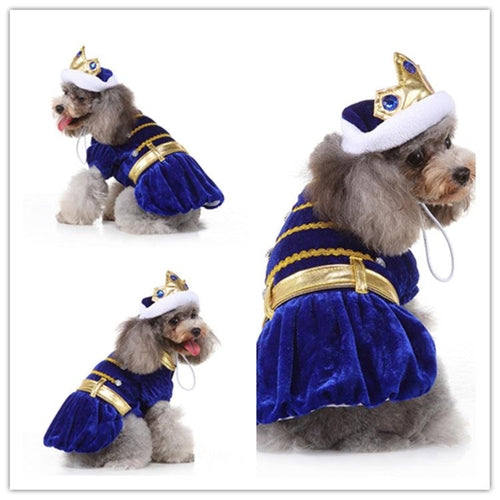 Funny Halloween Pet Costume: Personalized Dress Up For Dogs In Acrylic