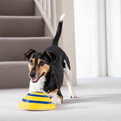 Wooftunes Interactive Sound Dog Toy: Engaging Entertainment For Your
