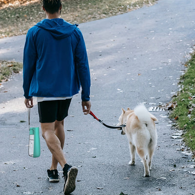 1pc Portable Dog Water Dispenser with Foldable Bowl - Ideal for Small to Large Breeds, Durable Plastic, Perfect for Outdoor Hiking and Traveling, Travel Pet Essentials | Modern Dog Accessories | Durable Plastic Dispenser