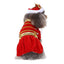Funny Halloween Pet Costume: Personalized Dress Up For Dogs In Acrylic