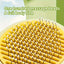 1pc Cat Bath & Massage Brush - Self-Cleaning Pet Grooming Comb for Shedding, Pink & Green, Soft PP Material, Gentle on Cats, Perfect for Bathing and Hair Removal, Cat Grooming