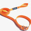 3 IN 1 COLLAR LEASH HARNESS