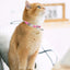 Personalized Cat Collar with Bell Adjustable Dog Neck Strap Fashion Print Puppy Kitten Collars Free Engraved Cat Id Pet Supplies