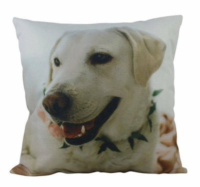 Labrador | Animals | Dog Pillow | Labrador Retriever | White Labrador