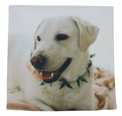 Labrador | Animals | Dog Pillow | Labrador Retriever | White Labrador